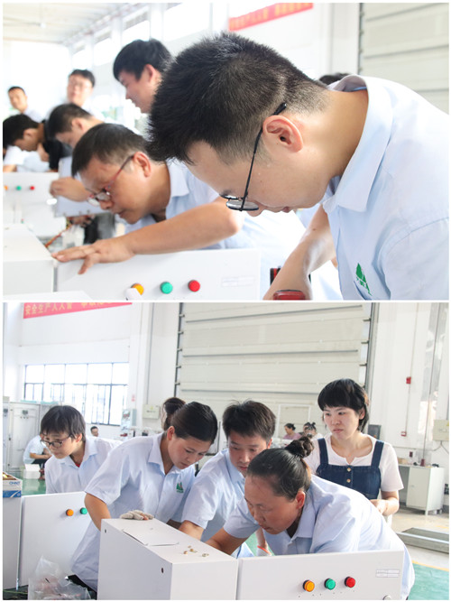 IMG_9480_拼.jpg IMG_9480_拼.jpg