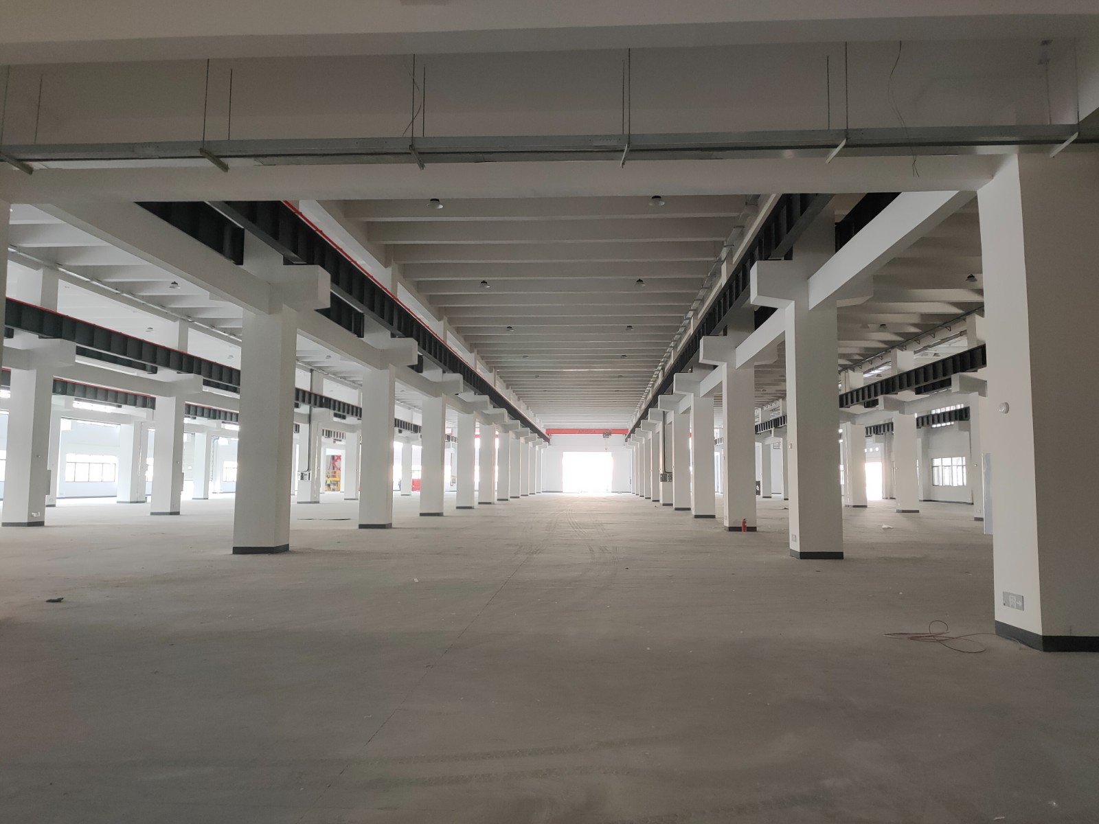 IMG20231129100201(1).jpg IMG20231129100201(1).jpg